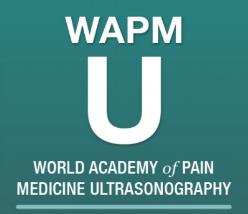 World Academy of Pain Medicine Ultrasonography World Academy of Pain Medicine Ultrasonography